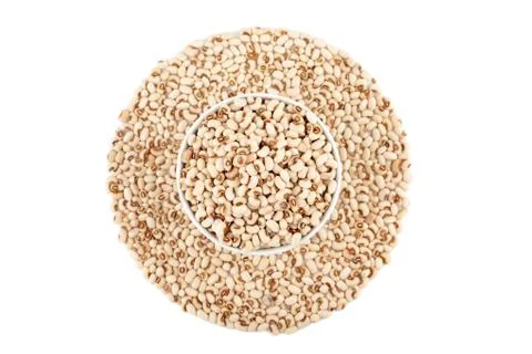 White kidney bean Stock Photos