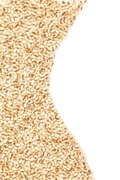White kidney bean Stock Photos
