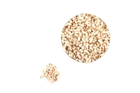 White kidney bean Stock Photos