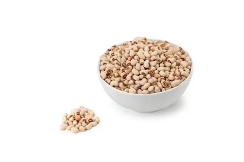 White kidney bean Stock Photos