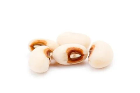 White kidney bean Stock Photos