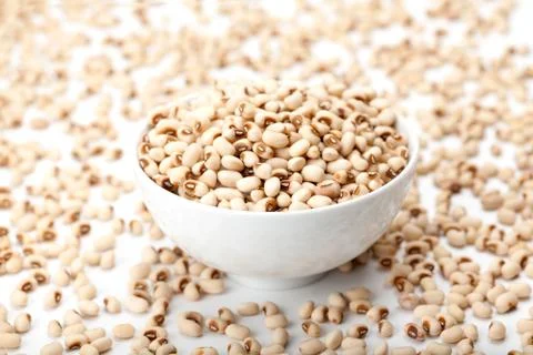 White kidney bean Stock Photos