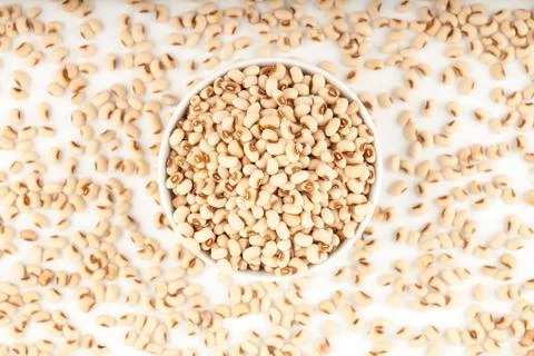 White kidney bean Stock Photos