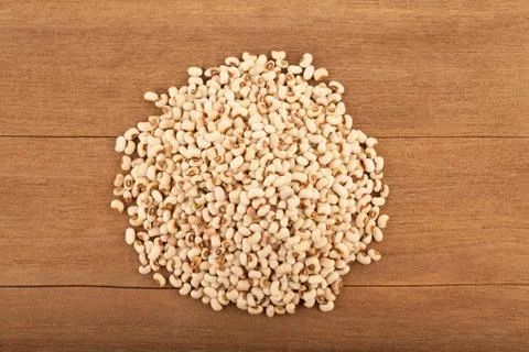 White kidney bean Foto stock