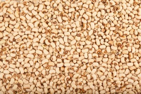 White kidney bean Stock Photos