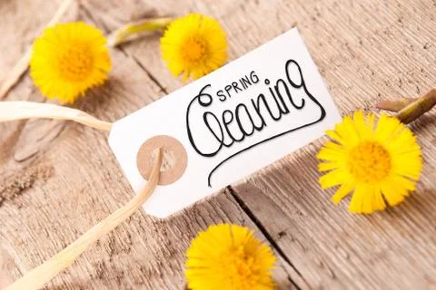 White Label, Dandelion, Calligraphy Spring Cleaning, Wooden Background Foto stock