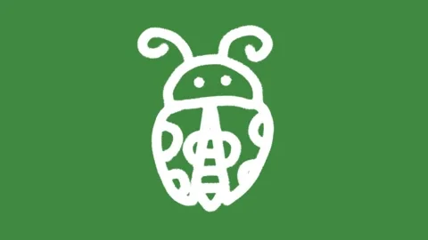 White ladybug insect cartoon graphic with chalk outline cute bug icon Stock Footage 336295382