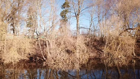 White Lake Spring Landscape Vídeo Stock 105851182