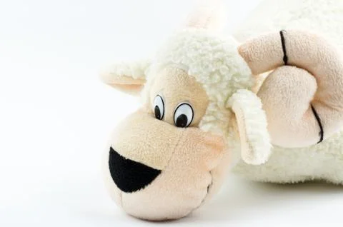 White lamb close-up on a white background. Kids toy Stock Photos