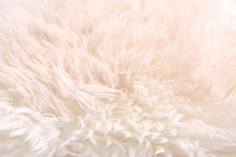 White lambskin as background Stock Photos