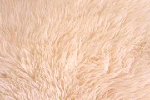 White lambskin as background Stock Photos
