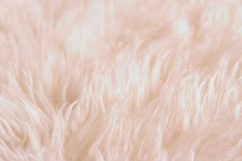 White lambskin as background Stock Photos