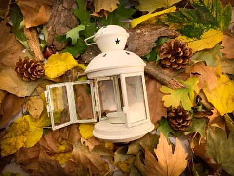 White lantern surrounded by fall leaves and pine cones. Top view, copy space Stock Photos