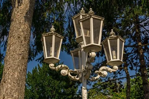 White lanterns are surrounded by trees Stock Photos