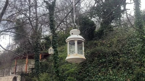 White lanterns hanging from the trees Stock-Footage 219785004