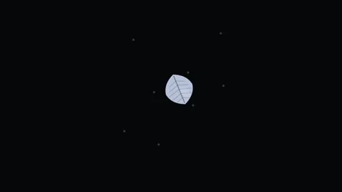 White Leaf Fall Spiral Wind Eco Green Animation Loop Vidéo 342610428