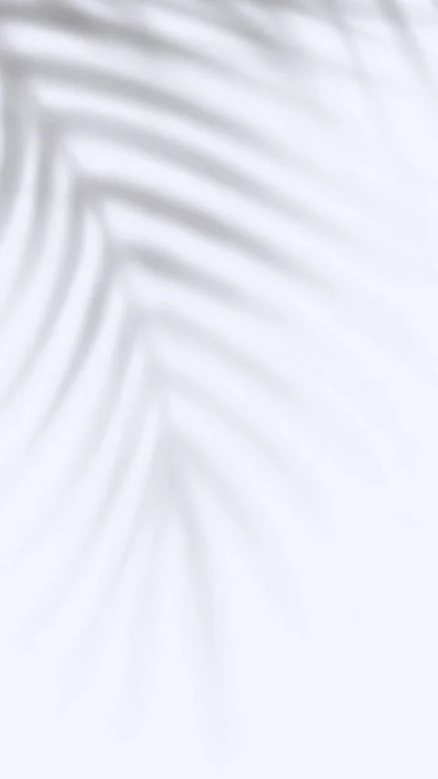 White Leaf Shadow Gradient Verticle background Stock Footage 283363786