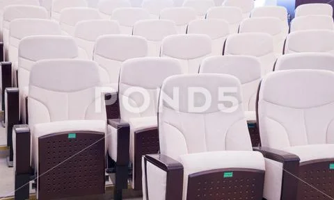 White leather chairs in the auditorium, conference room Stock Photos