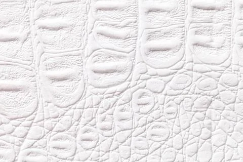 White leather texture background, closeup. Reptile skin, macro. 写真素材