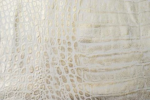 White leather texture background Stock Photos