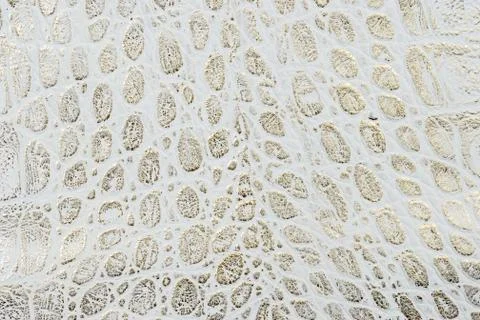 White leather texture background. Stock Photos