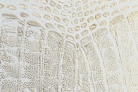 White leather texture background. Stock Photos