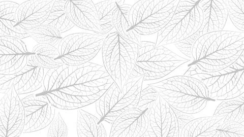 White leaves background. Skeleton leaf pattern. Floral outline design. Stock Illustration
