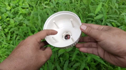 White LED Light Shell Held Against Green Grass Stock Footage 296416885