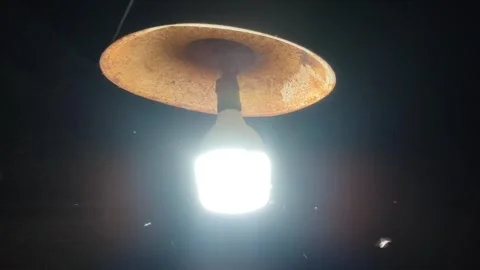 White light bulb at night surrounded by flies Stock Footage 298517426