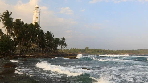 White lighthouse Dondra Head and tropical palms, Sri Lanka, near Matara. Stock Footage 104266381