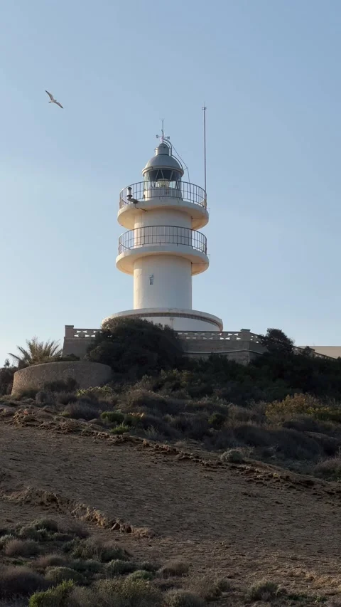 White lighthouse on a hill with a seagull flying nearby in Alicante Stock Footage 294821340