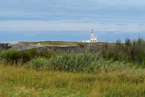 White Lighthouse on Rugged Coastal Cliffs Overlooking Grassy Seaside Landsc.. Stock-Fotos