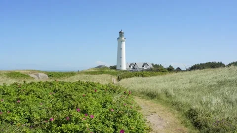 White lighthouse standing on grassy coastal dunes Stock Footage 338329215