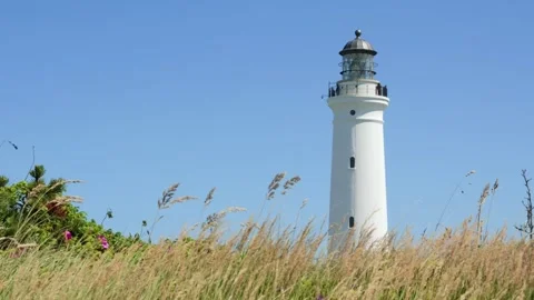 White lighthouse tower on grassy hillside Vídeo Stock 338329280