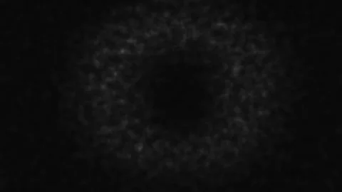 White Lighting Circles Motion Loop Stock-Footage 218977669