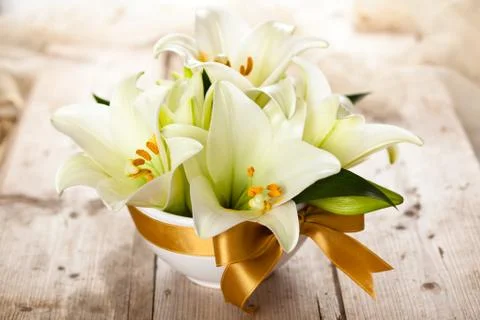 White lilies on table. Stock Photos