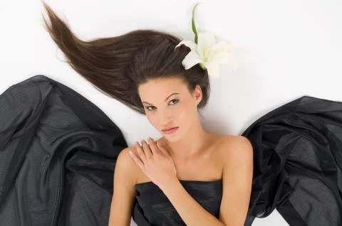 The white lily Stock Photos