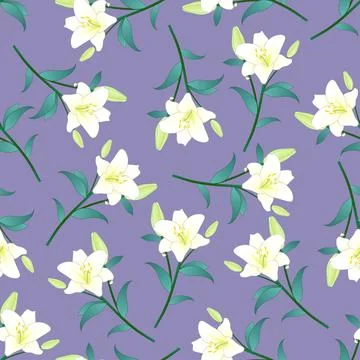 White Lily on Purple Background Stock Illustration