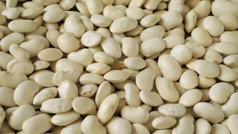 White lima beans slowly moving as food background Stock Footage 340159397