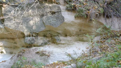 The white limestone big rock in the forest Stock Footage 142417976