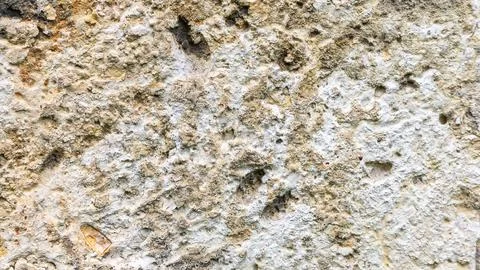 White limestone with visible texture Stock Photos