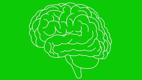 White line brain 2 green Vídeos de archivo 304491868