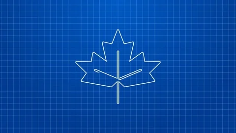 White line Canadian maple leaf icon isolated on blue background. Canada symbol Stock Footage 169318501
