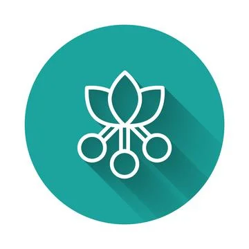 White line Coffee bean, branch with leaf and berry icon isolated with long sh Illustrazione stock
