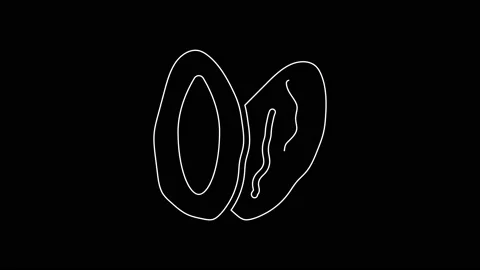 White line Date fruit icon isolated on black background. 4K Video motion graphic Stock Footage 167601287