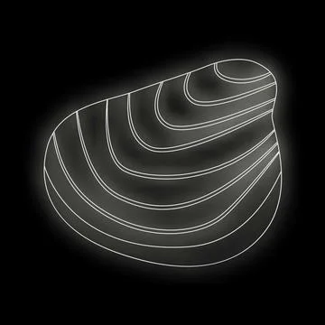 White line drawing depicting a shell on black background Stock Illustration