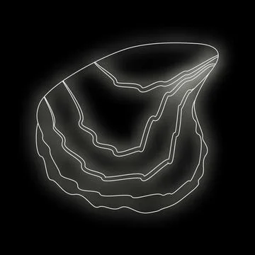 White line drawing of an oyster shell on black background 스톡 일러스트