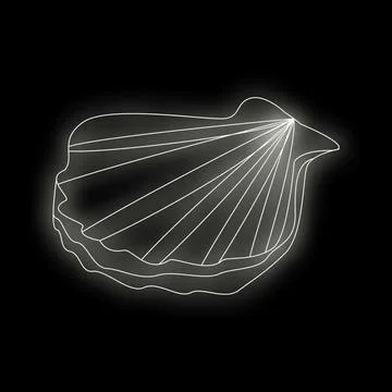 White line drawing of a scallop shell glowing on black background Stock Illustration