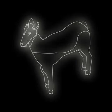 White line drawing of a young deer standing on a black background Stock Illustration