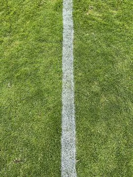 The White Line: Exploring the Importance and Significance of Lines on a Soc.. Stock Photos